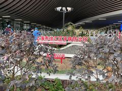 -上海市徐汇区口腔医院