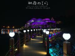 -大塘金香草谷