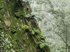 -金堂县云顶石城风景区