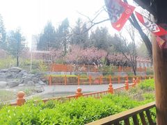 -太阳宫公园