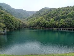 -龙坞茶村