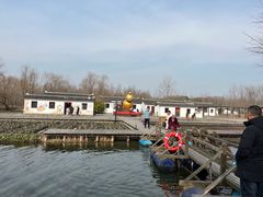 -溱湖国家湿地公园