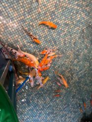 -酷嗒动物文化乐园(cutezoo西溪乐天城店)