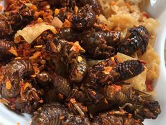 椒盐秋蝉-园林美食城·本土农家菜(杨和镇店)