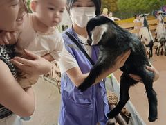 -正佳雨林生态植物园