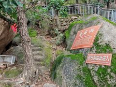 -六里坪国家森林公园