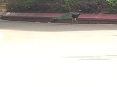 -西昌邛海宾馆