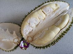 -东方鼎信农副产品交易中心