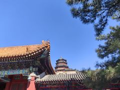 -颐和园