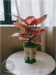 点击看大图 -尚艺造型.剪烫染.接发