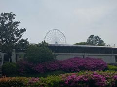 -蠡湖大桥公园