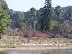 -南国桃园旅游度假区