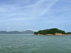 -招商蛇口邮轮母港(观光客运)