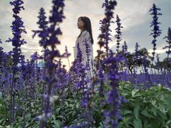 -松山湖梦幻百花洲