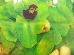 -北塘海鲜·天津菜(大光明桥旗舰店)