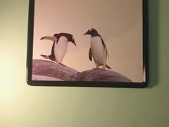 -珠海长隆海洋王国
