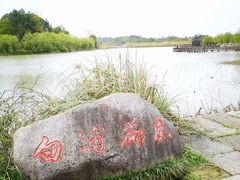 -杏花村文化旅游区