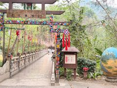 -西双版纳原始森林公园
