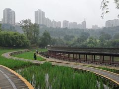 -龙头寺公园