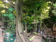 -福州罗源湾海洋世界旅游区