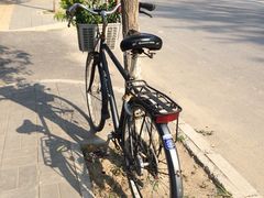 iphone_upload_pic-草场地艺术区