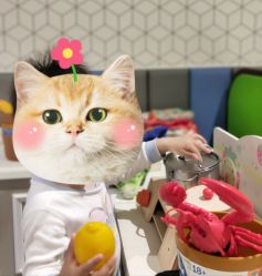 -MELAND(大融城店)