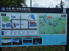 -青池