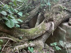 -陕西省红河谷森林公园