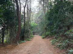 -铁山坪森林公园