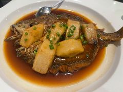 年糕烧生态黄鱼-金鼎轩(亚运村店)