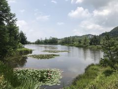 -玉舍国家森林公园