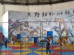 -新疆天山野生动物园