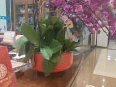 -聚彩居三和酒楼•老字号粤菜(南城店)