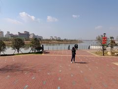 -九龙湖公园