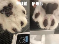 -comecome来吧宠物(奥克斯中心店)