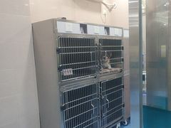 -万博宠物医院·手术·诊疗(未央凤城五路店)