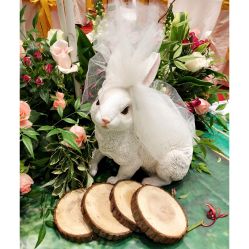 点击看大图 -Sunny喜铺婚礼策划(东部店)