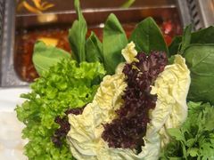 -草原塞蛮羊火锅城(港湾店)