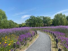 -梁鸿国家湿地公园
