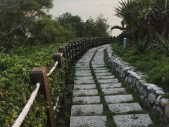 -东澳岛