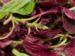 -龍歌自助小火锅(城阳万象汇店)