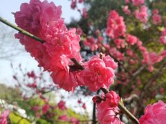 -尚贤河湿地