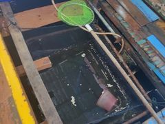 -蓝湾碧波·老字号·疍家非遗海上餐厅