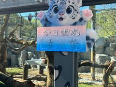 -青藏高原野生动物园