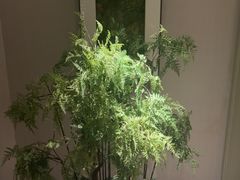 -浅深(世茂滨江精品店)