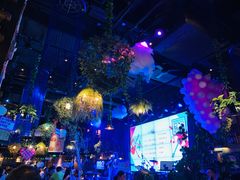 -胡桃里音乐酒馆(石家庄店)