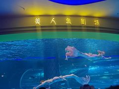 -西双版纳原始森林公园