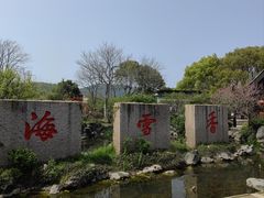 -香雪海