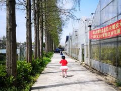 -前小桔亲子创意农场·草莓采摘·露营烧烤