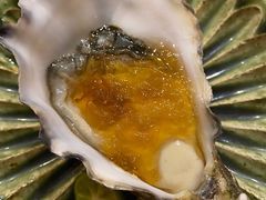 生蚝-鮨青(恒基名人购物中心店)